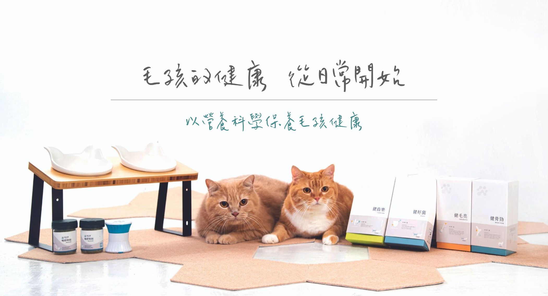 banner-pet daily care 01