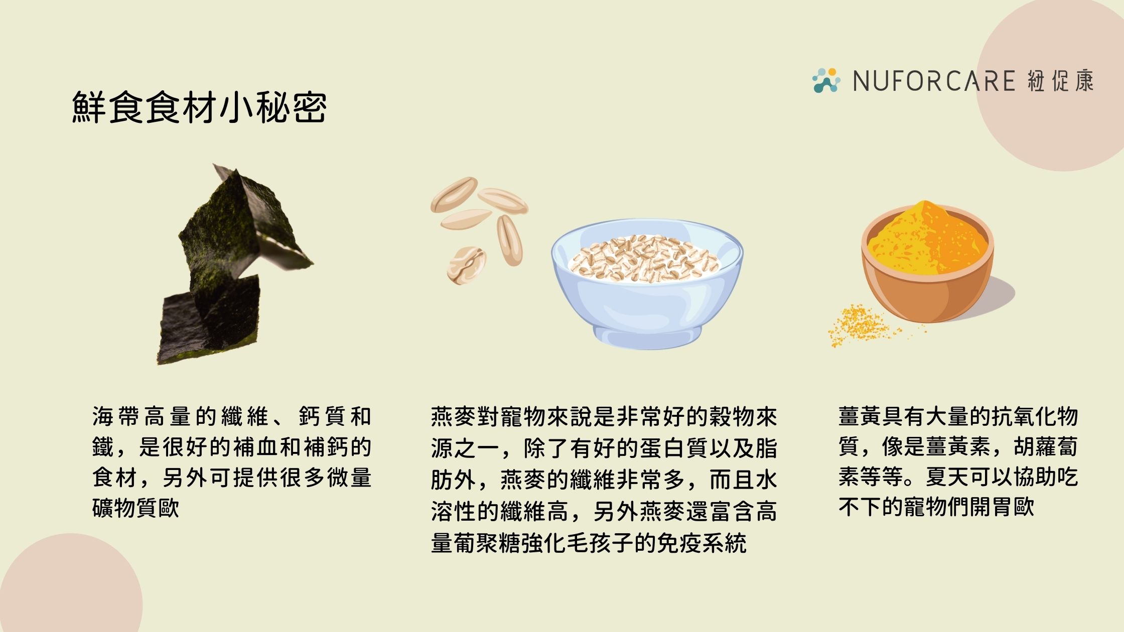 寵物鮮食健康食材＿燕麥、海帶、薑黃