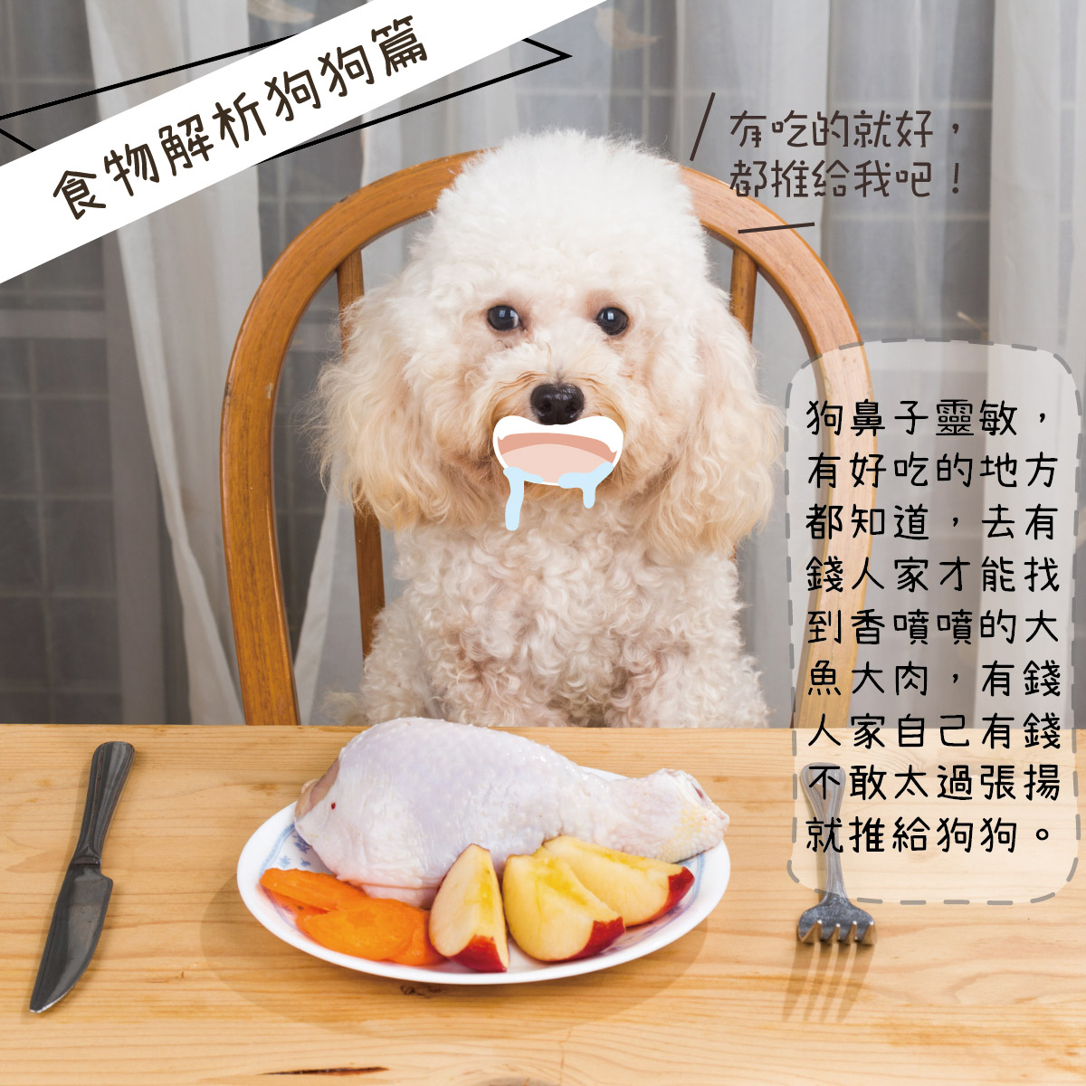 食物解析篇狗_工作區域 1.jpg